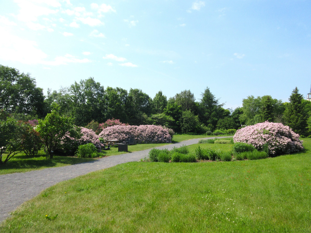 Les Jardins du Cap à l'Aigle-拉马尔拜必去景点