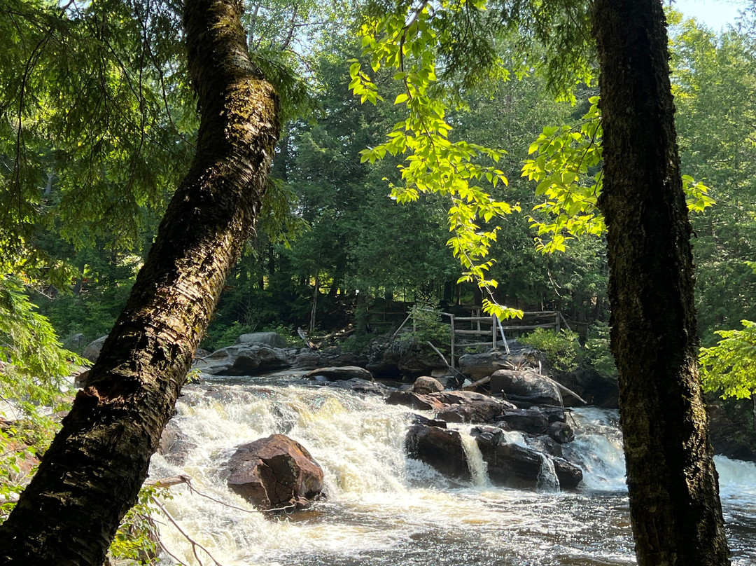 Natural Stone Bridge and Caves景点图片