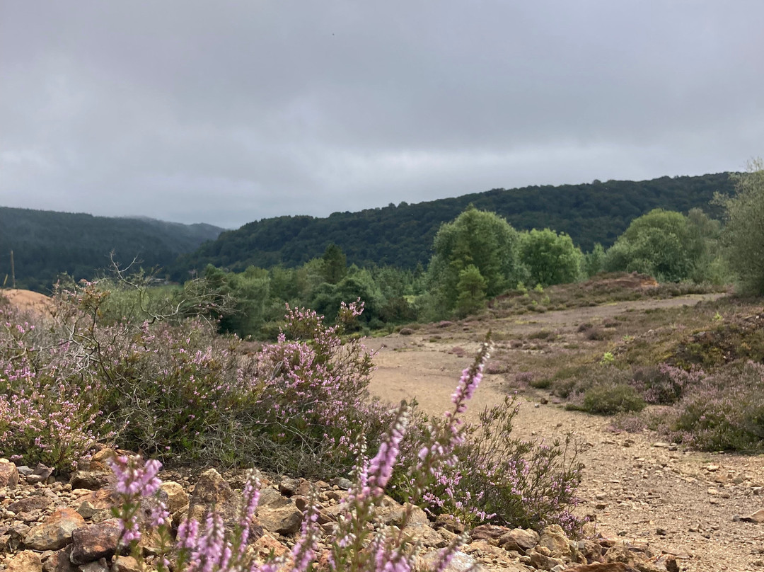Tamar Trails景点图片