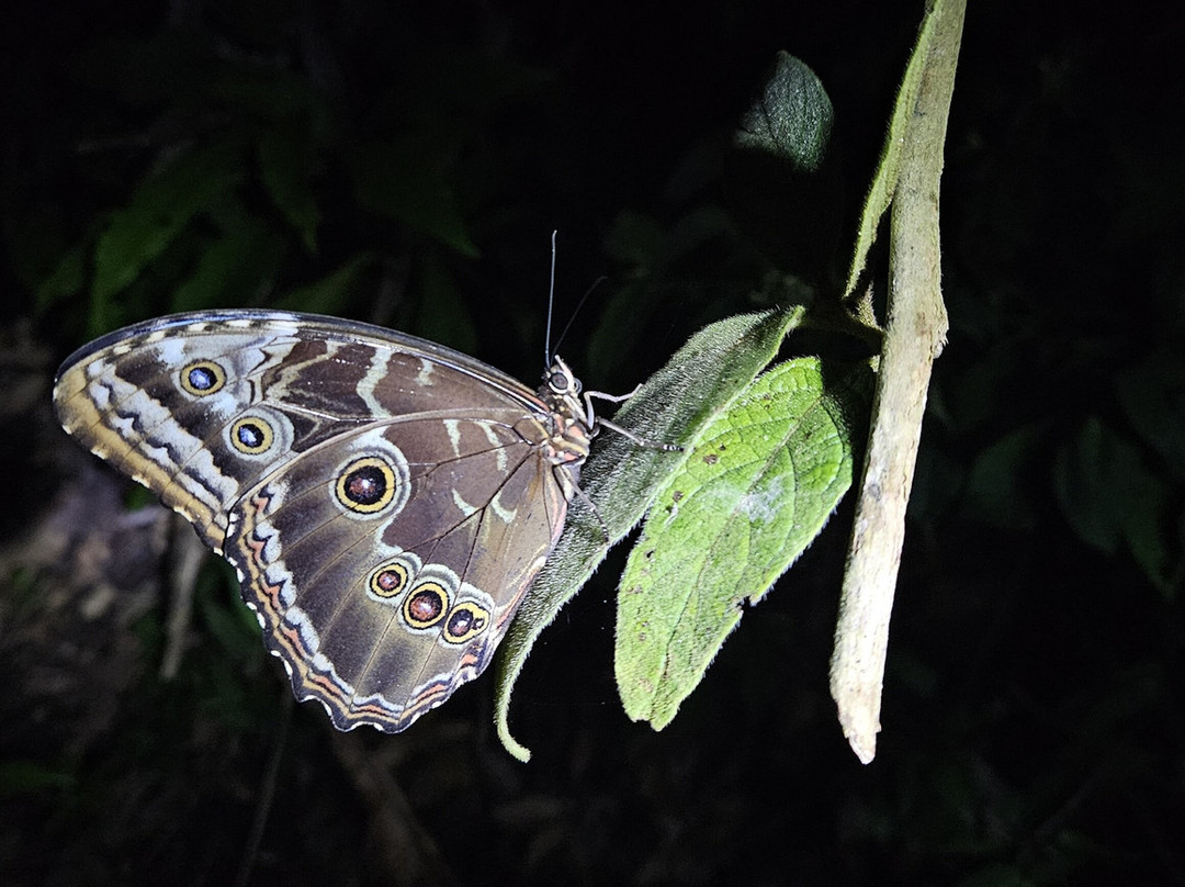 Valle Escondido Night Tour-圣埃伦娜必去景点