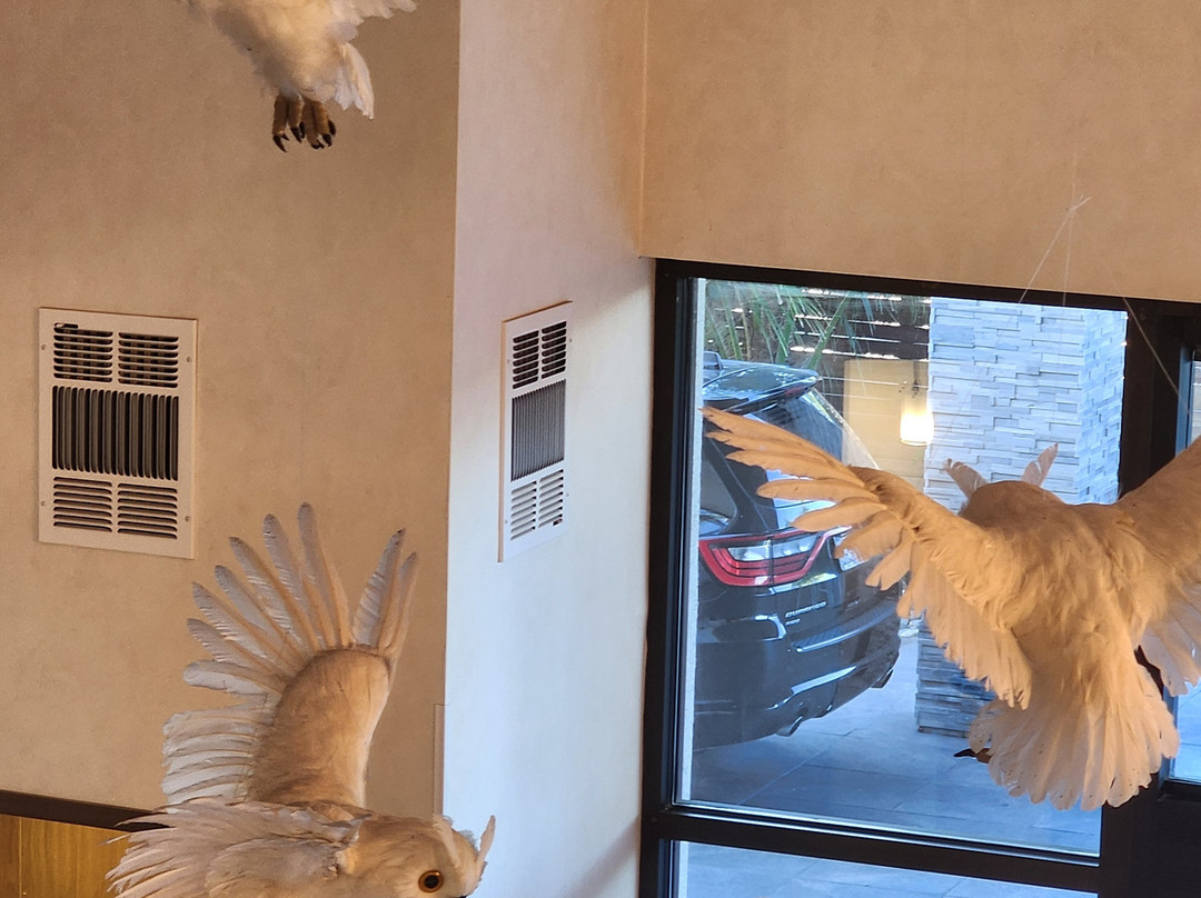 探索王国贝斯特韦斯特旅馆&套房酒店主图