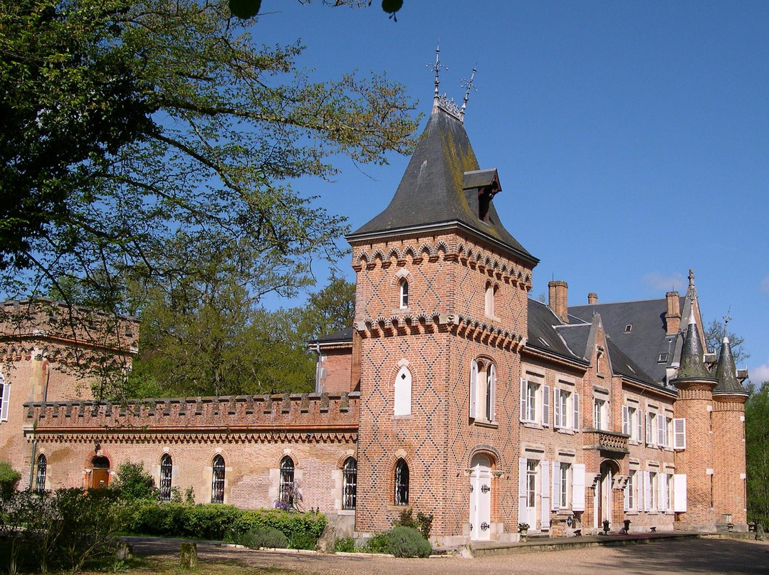 La Ferte-Saint-Aubin酒店住宿-Hostellerie Du Chateau Les Muids