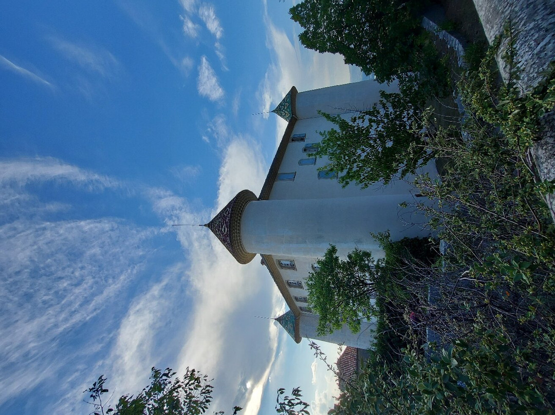 Chateau d'Aiguines景点图片