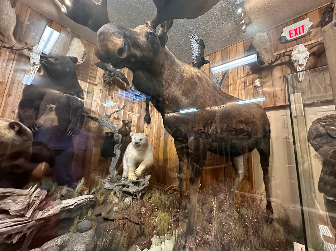 Canadian Wildlife Museum and Gift Shop景点图片