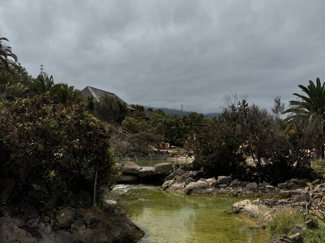 Parque Natural El Montillo-圣克鲁斯-德特内里费必去景点
