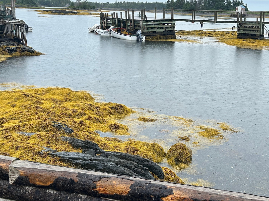 Tours By Town Car-哈利法克斯必去景点
