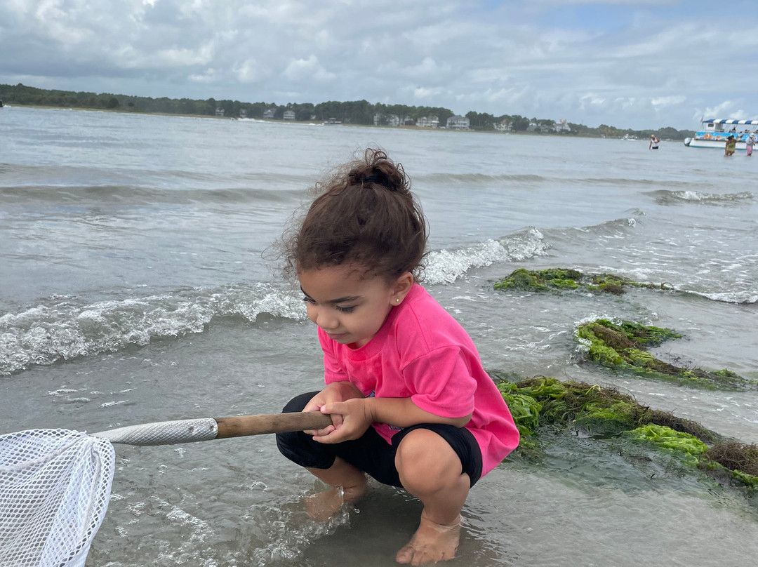 Assateague Adventure-大洋城必去景点