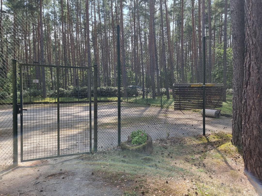 Van der Valk Naturresort Drewitz主图