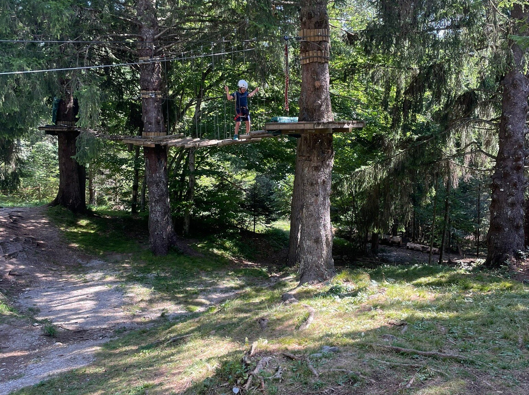 Forest Park景点图片