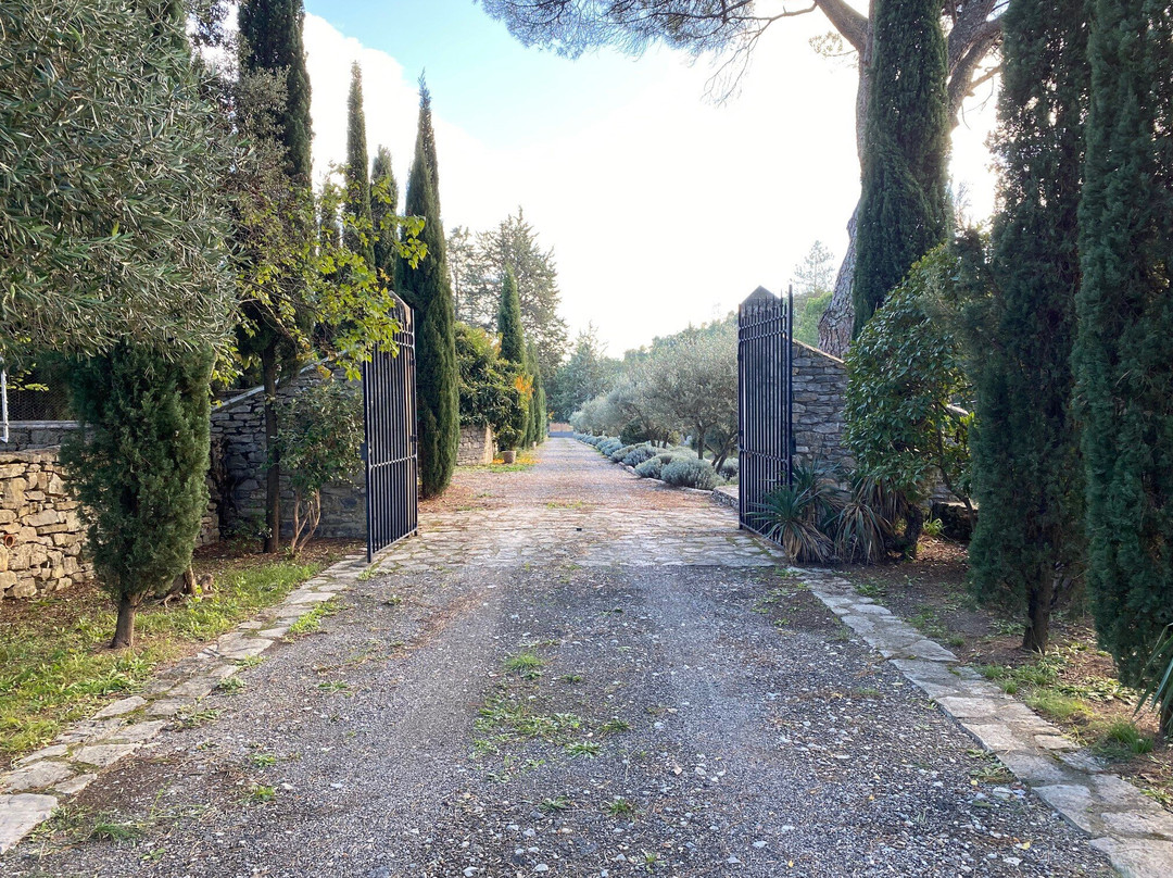Domaine Mas De Martin景点图片