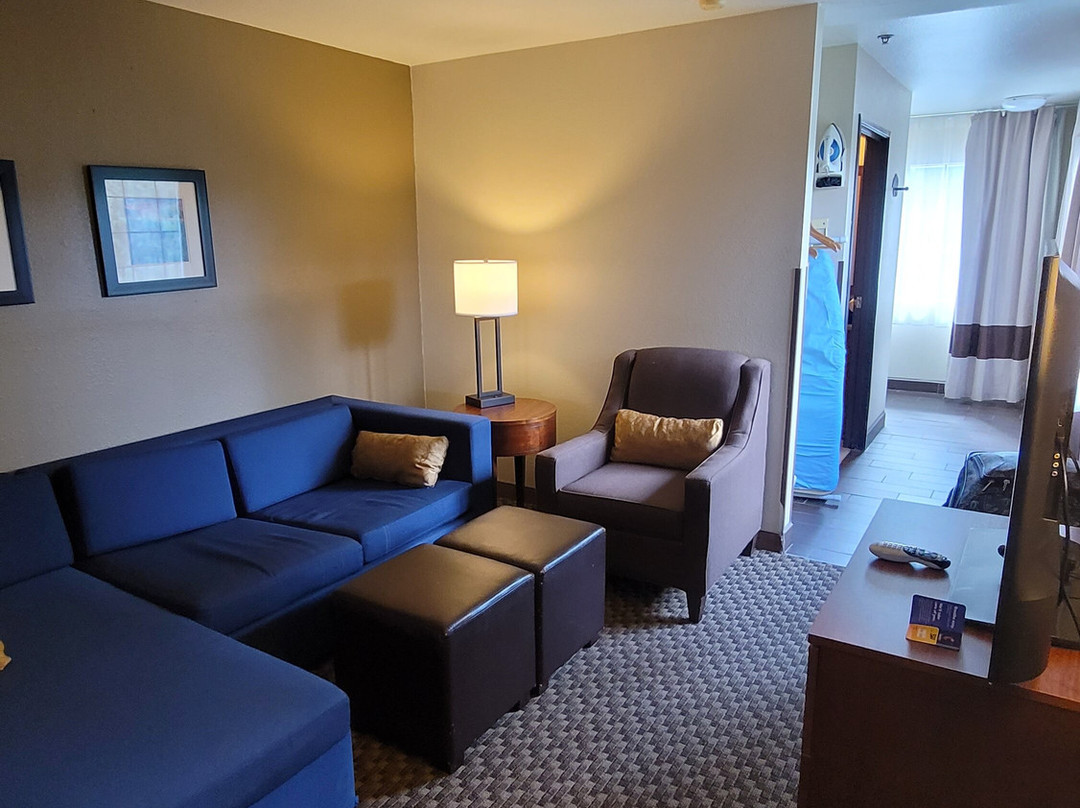 Comfort Inn & Suites - Midtown主图