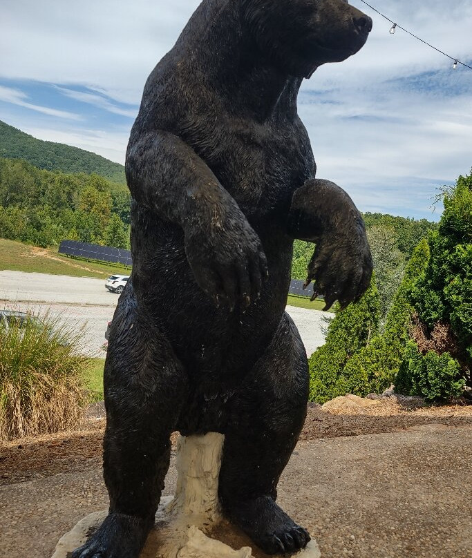 Yonah Mountain Vineyards景点图片