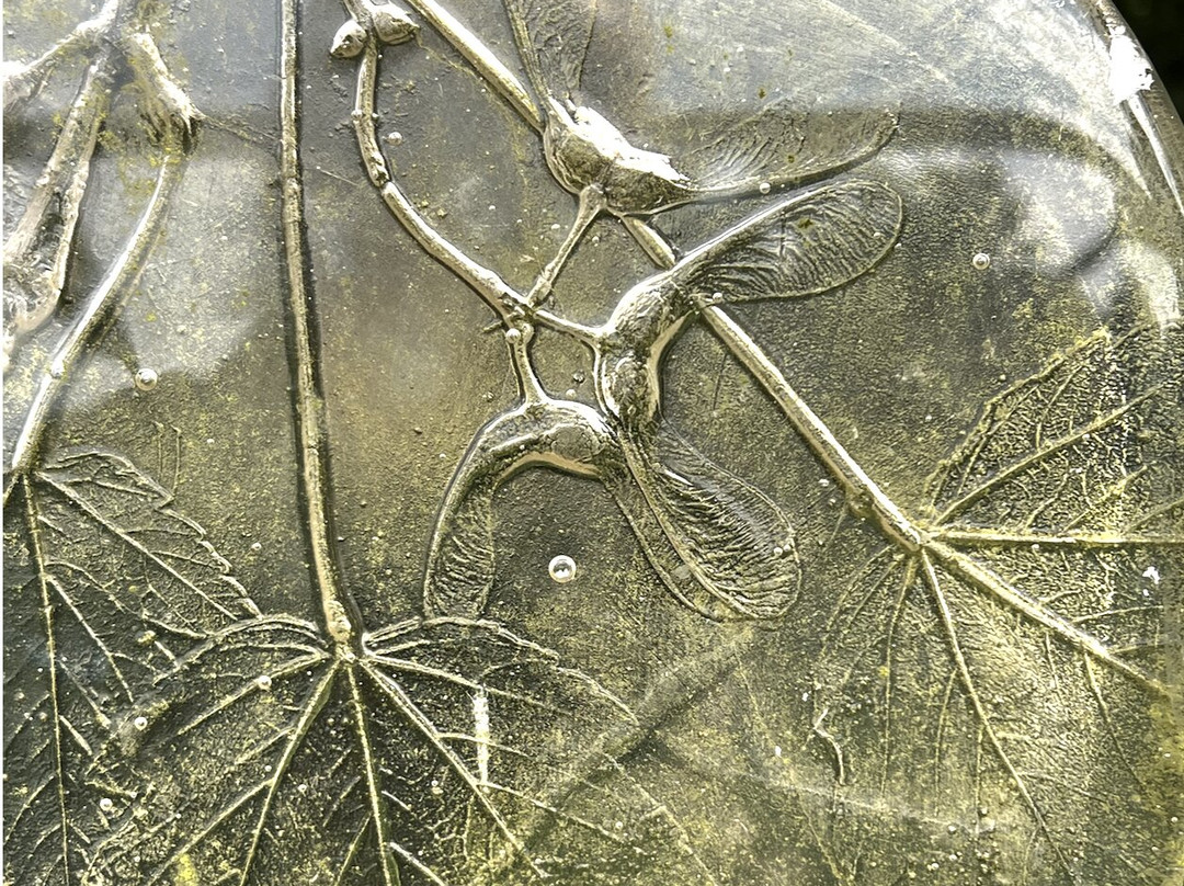 The Gallery at Parndon Mill景点图片
