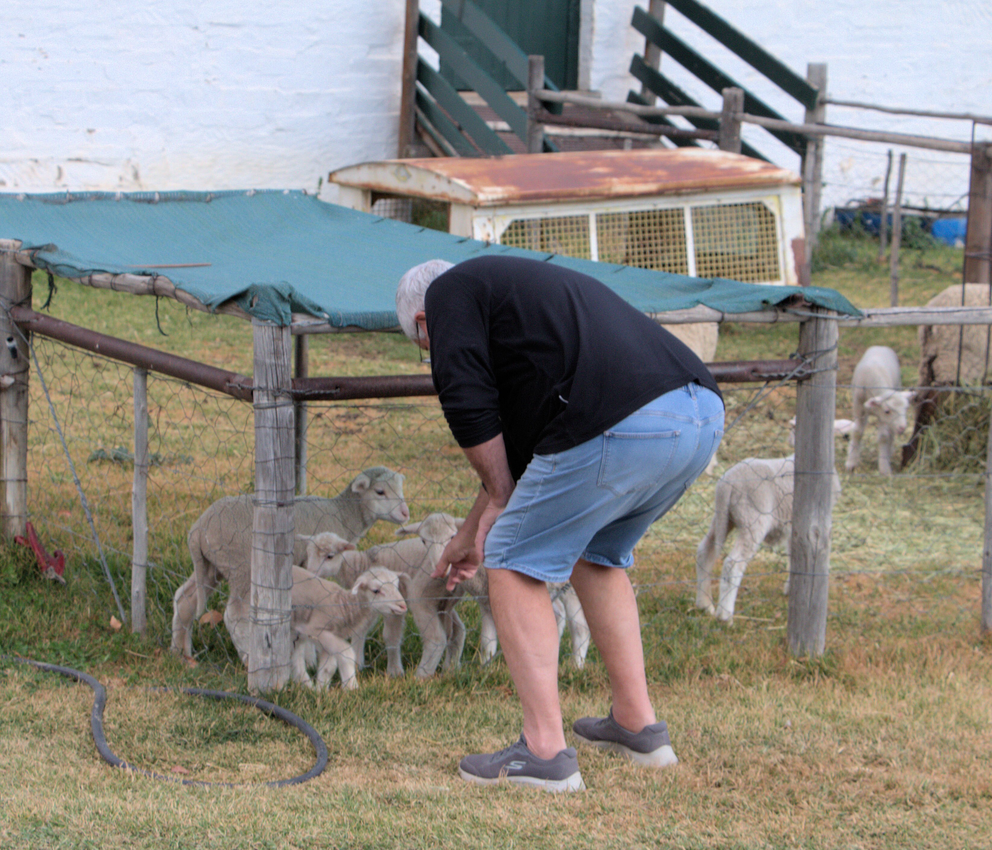 Ganora Guestfarm-家庭/游戏区