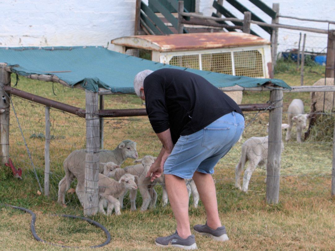 Ganora Guestfarm主图