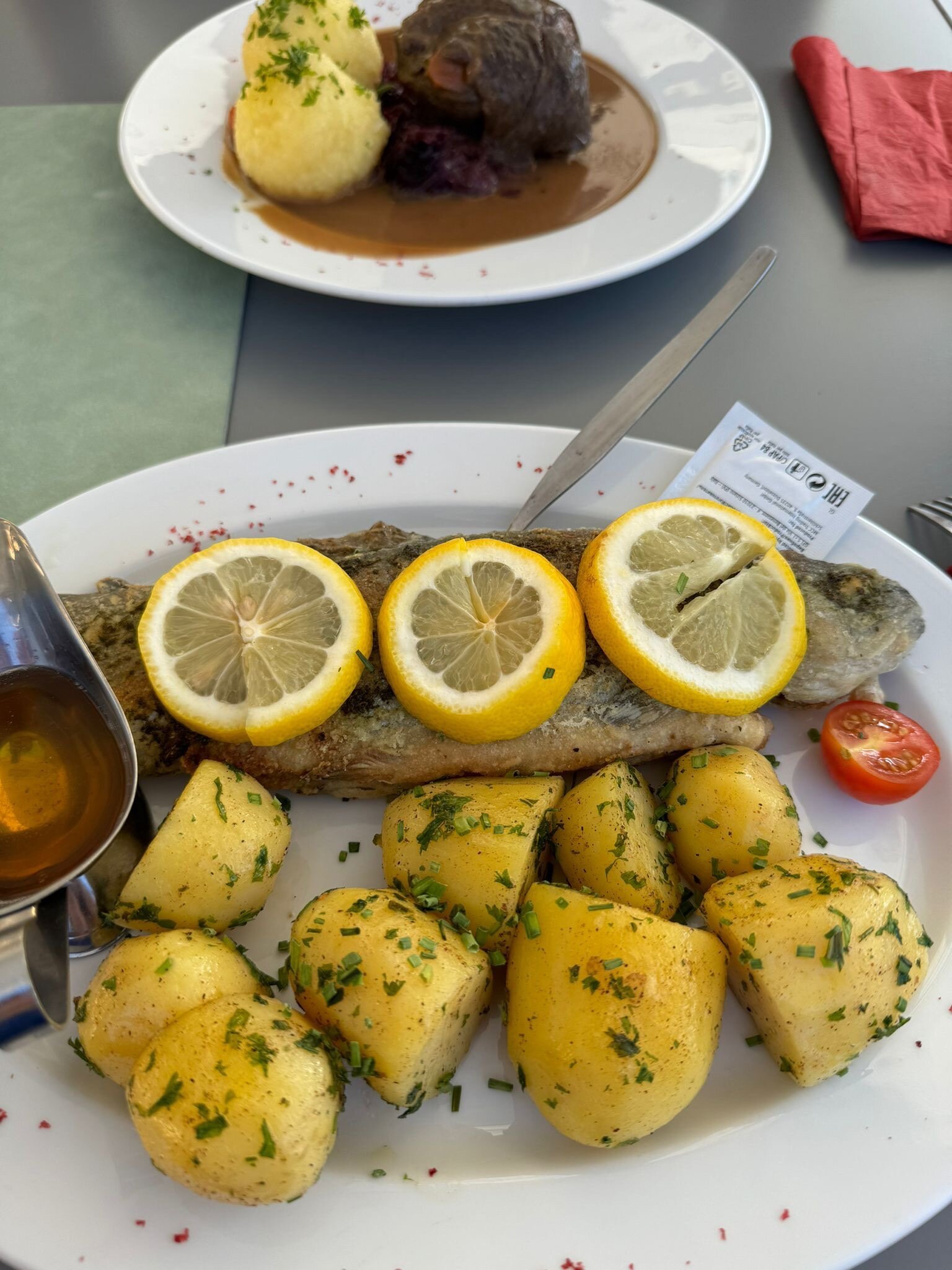 Landgasthof Hotel Frankenstern-官方