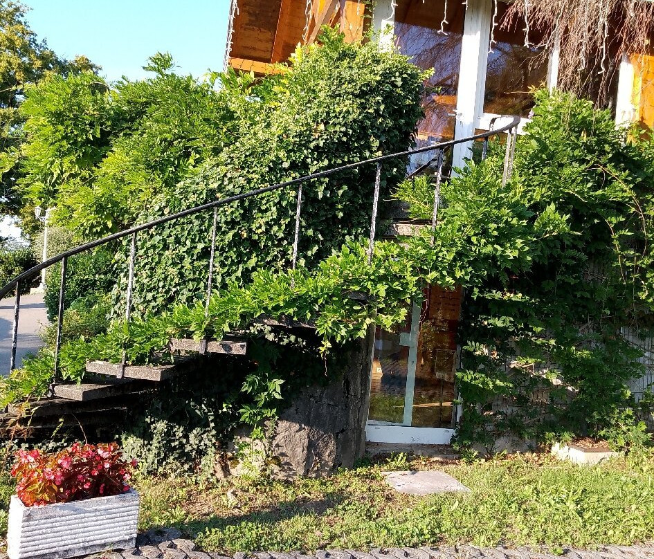 Domaine Des Bruyeres主图