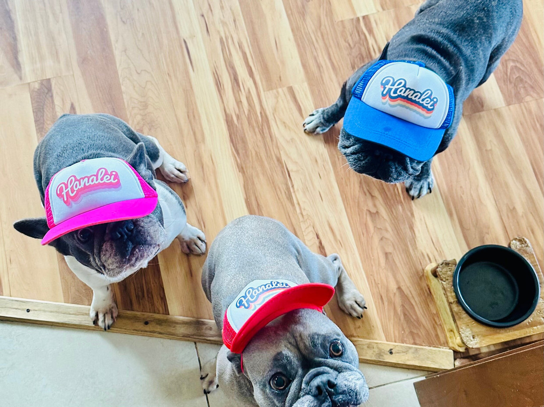 Pedal 'n Paddle-哈纳雷伊必去景点