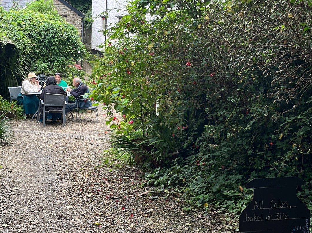 Hele Corn Mill & Tea Room-伊尔弗勒科姆必去景点