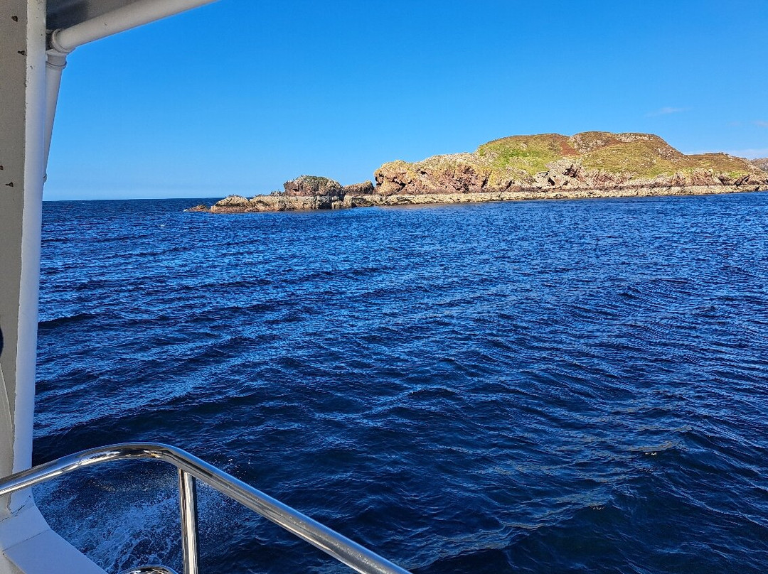 Shearwater Cruises-阿勒浦必去景点