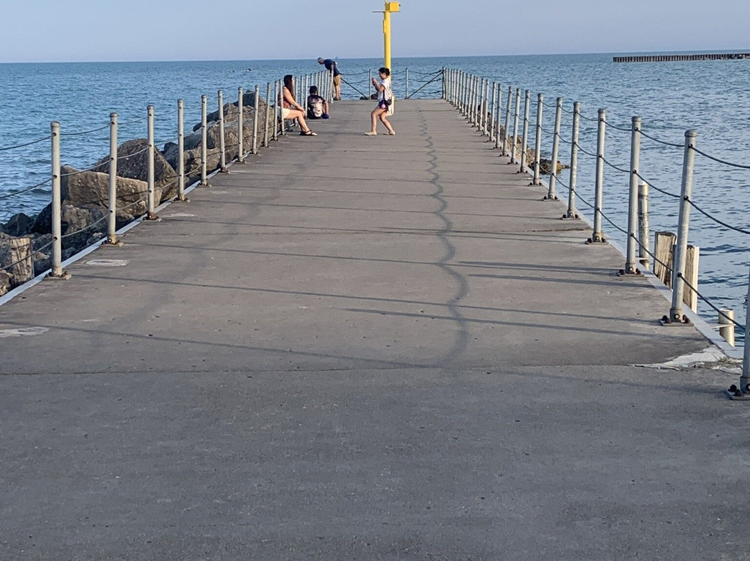 Dawes Park-埃文斯顿必去景点