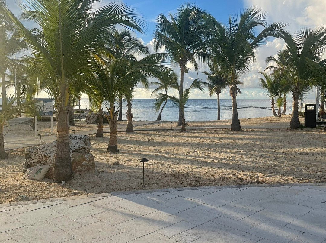 Reef Divers Cayman Islands-Cayman Brac必去景点