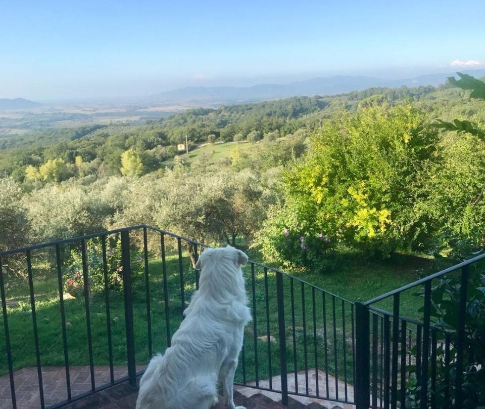 Agriturismo Campo Al Crognolo主图