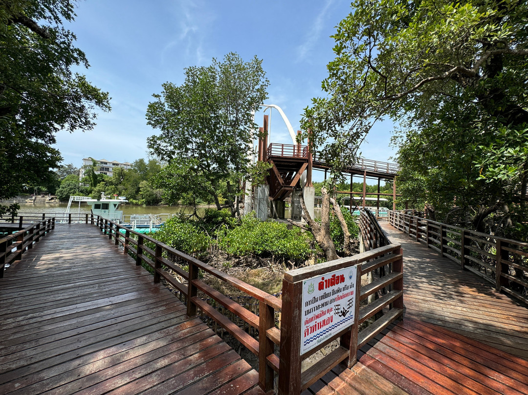Mangrove Forest Learning Center-罗勇必去景点