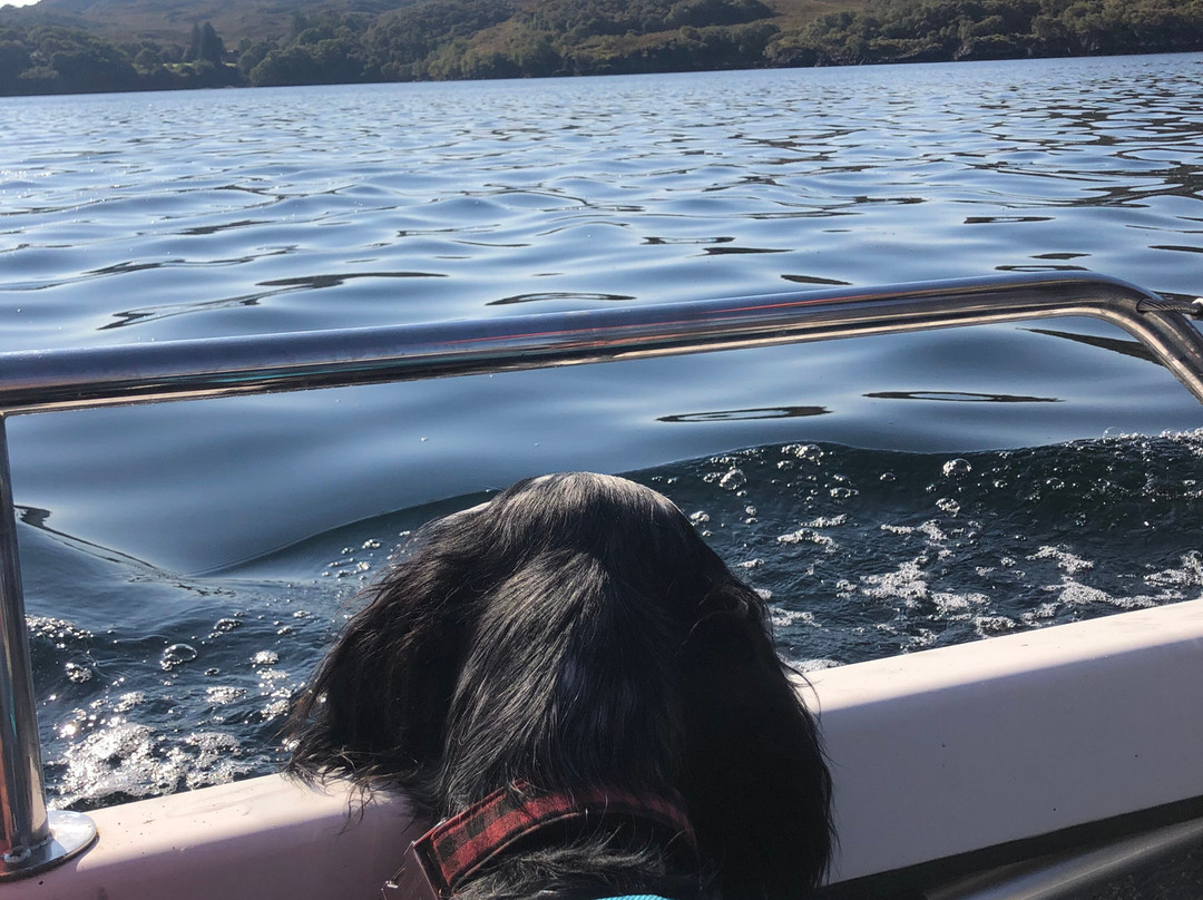 Glendale Self Drive Boat Hire景点图片