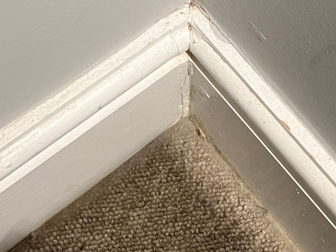 Lundy House Hotel主图