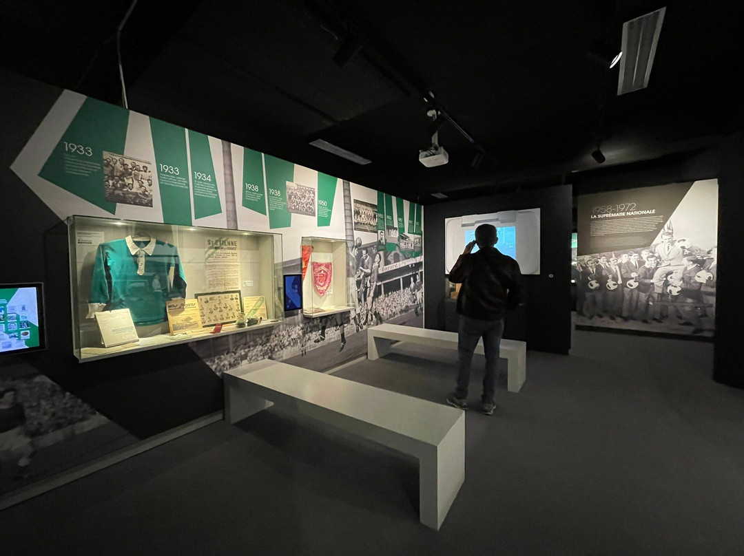 Musee des Verts景点图片