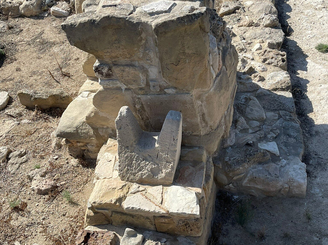 Kition Archaeological Site-拉纳加必去景点