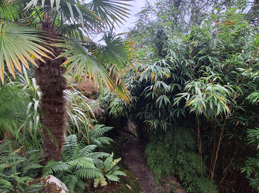 Chygurno Garden景点图片