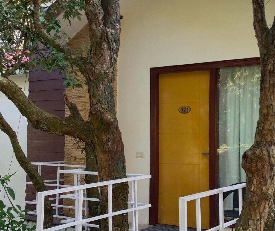 Essence of Nature主图