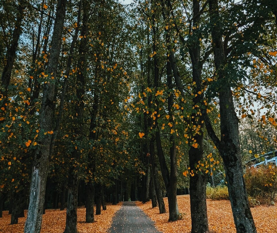 Victory Park-明斯克必去景点