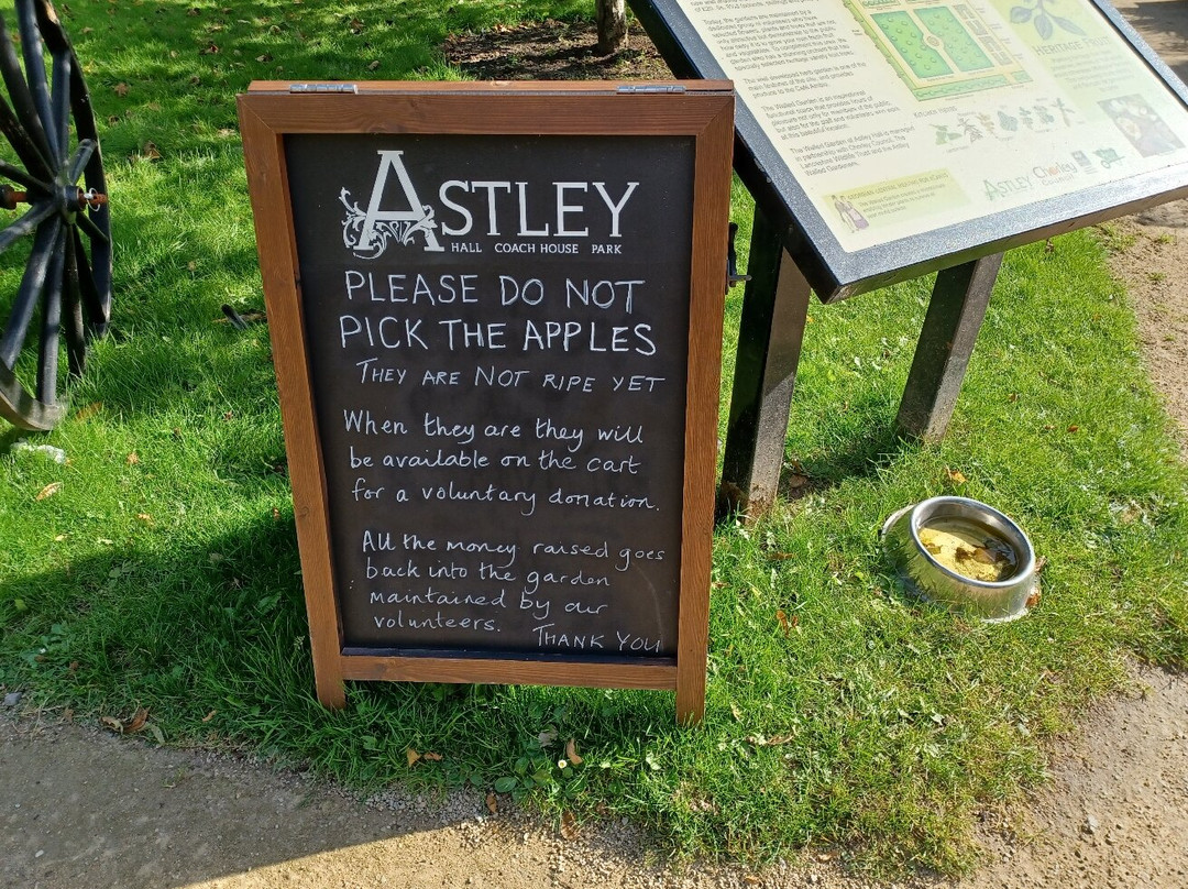 Astley Park-乔利必去景点