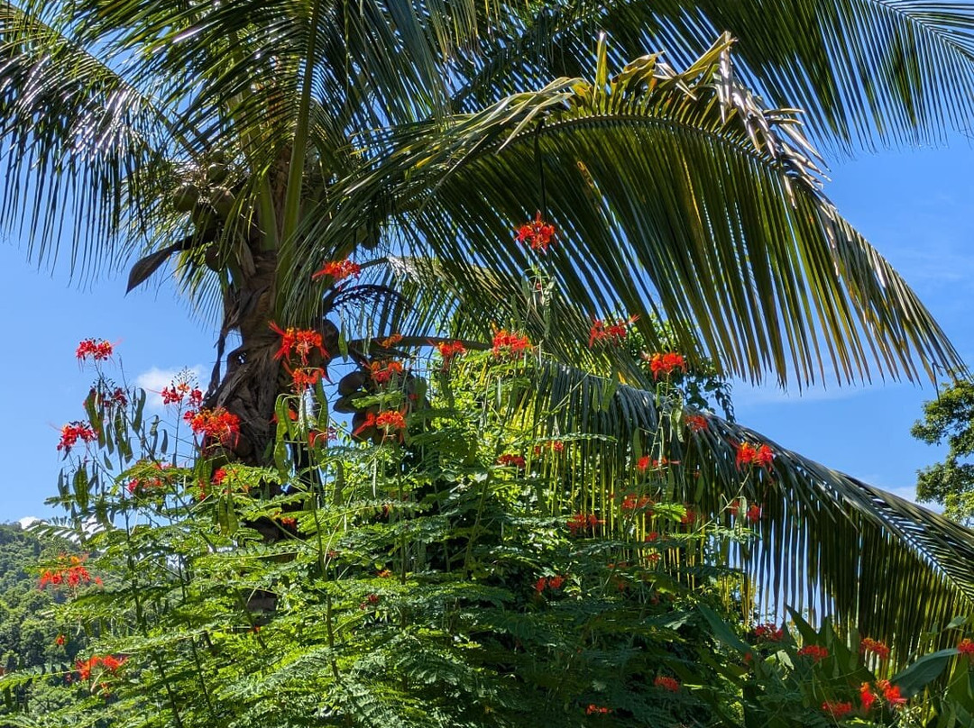 Habitation Getz主图