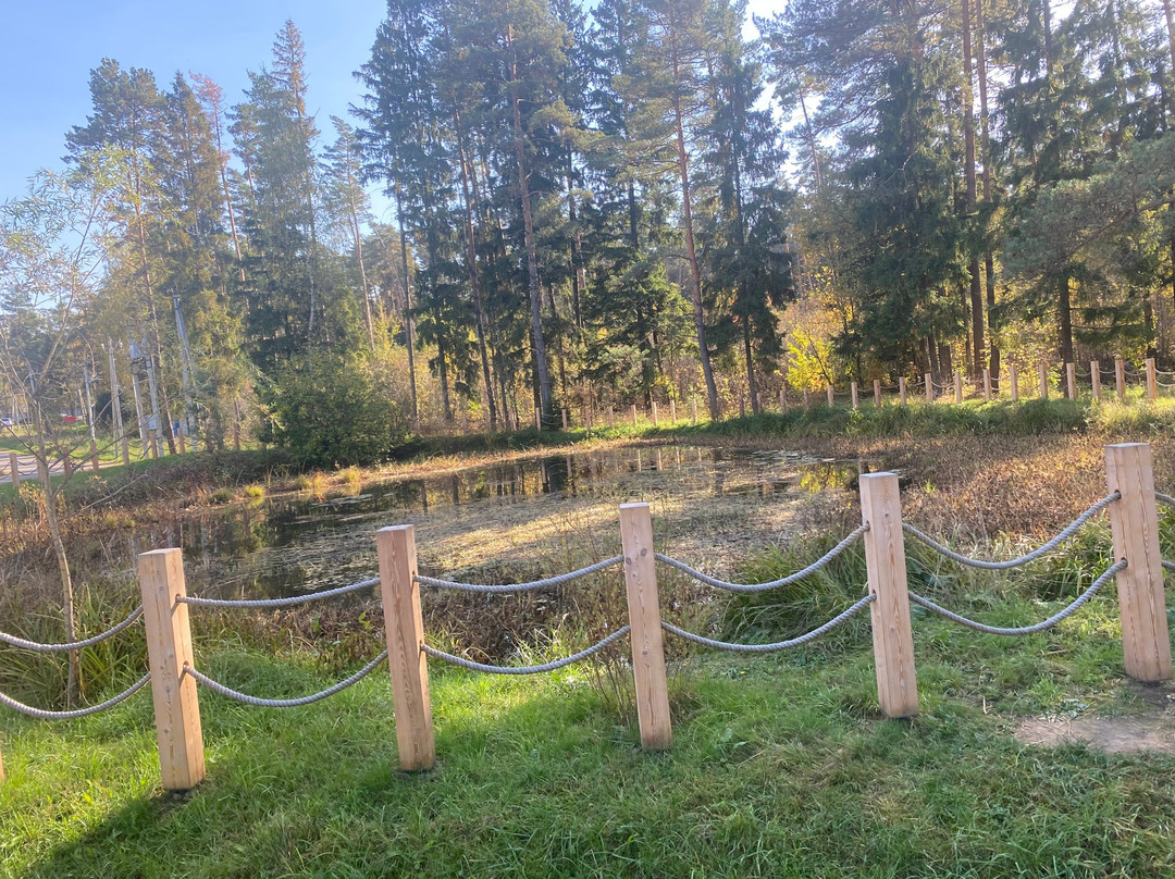 Shishkin Forest Forest Park景点图片