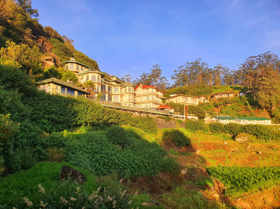 Oak Ray Summer Hill Breeze主图