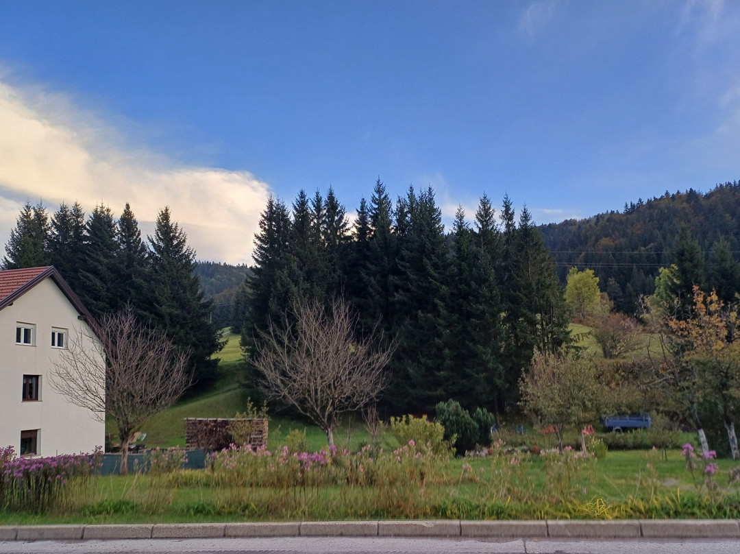 Stari Trg ob Kolpi酒店住宿-Pansion Bijela Ruza