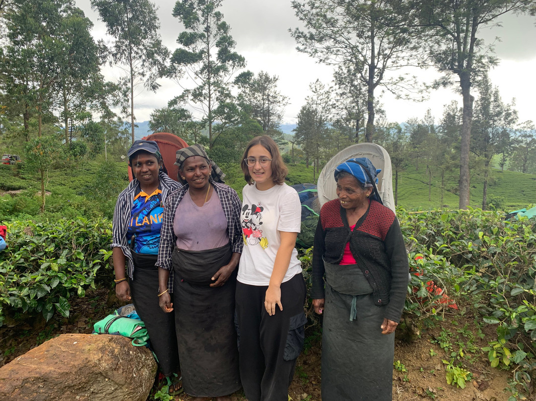 Luk Sri Lanka Travels-Pallekele必去景点