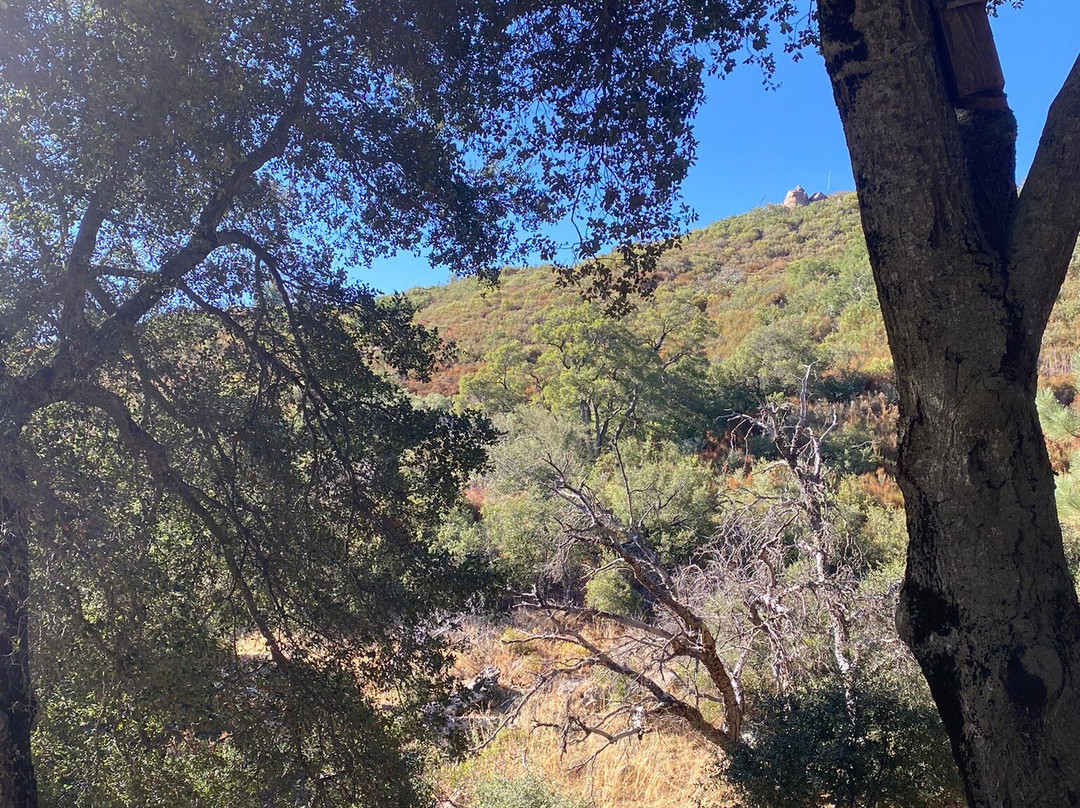 Wikiup Hummingbird Hotel主图