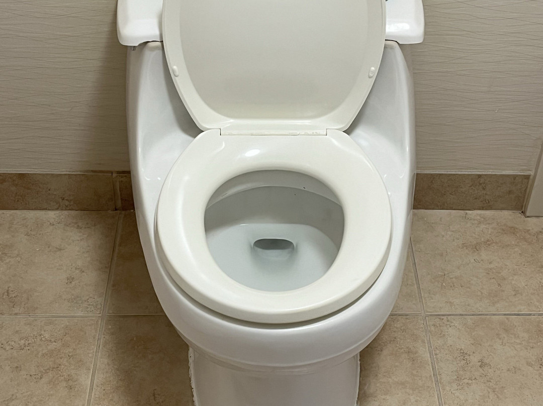 Hampton Inn & Suites Montgomery-Downtown主图