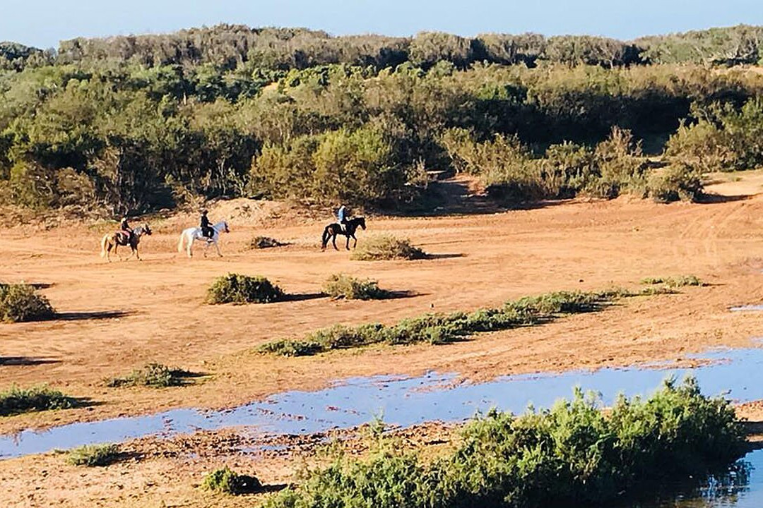 Zouina Cheval-索维拉必去景点