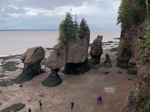 Innisfree Bed and Breakfast Hopewell Rock主图