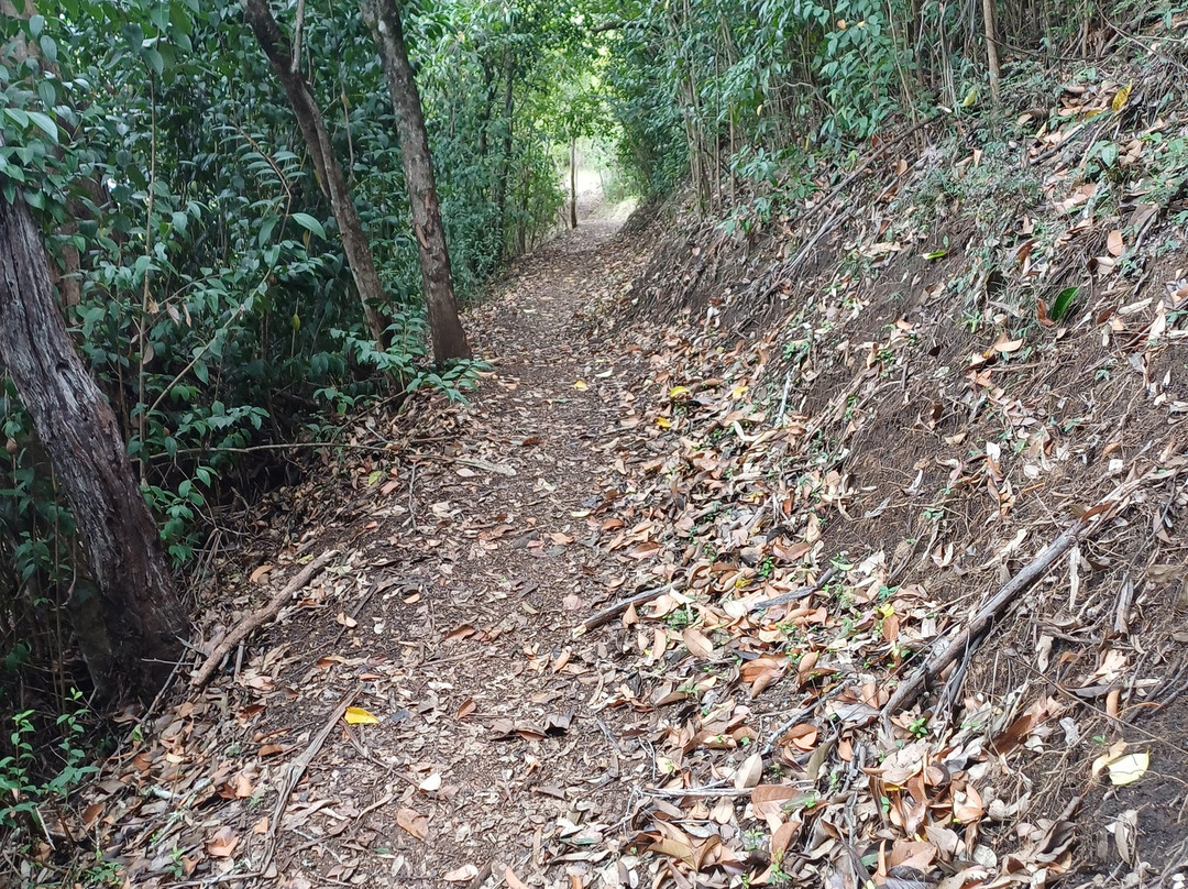 Glen Lomond Park景点图片
