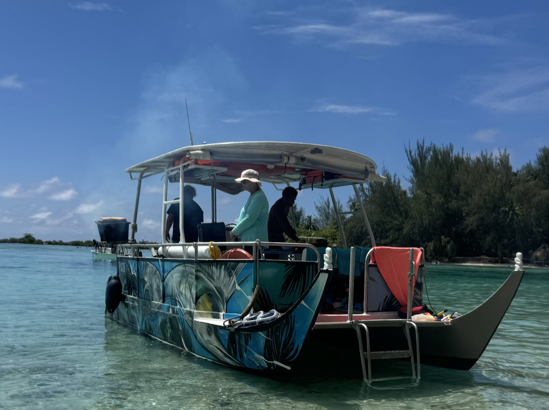 Moorea Seafari Cruises-Paopao必去景点