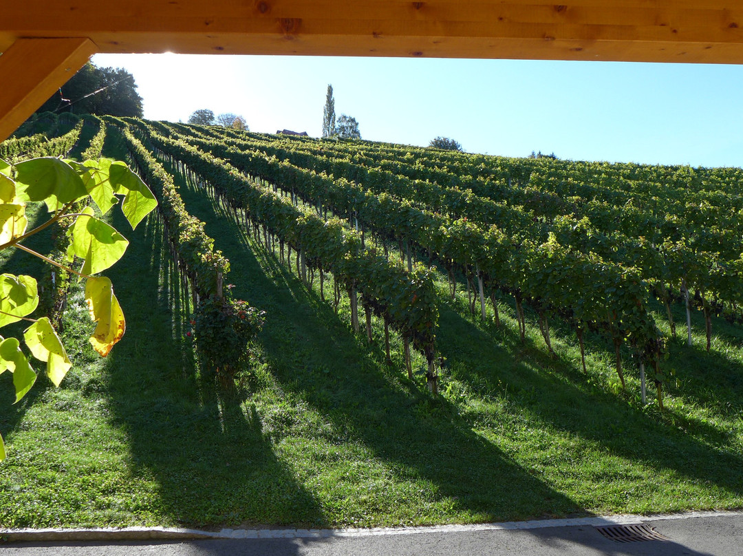 Schneiderannerl主图