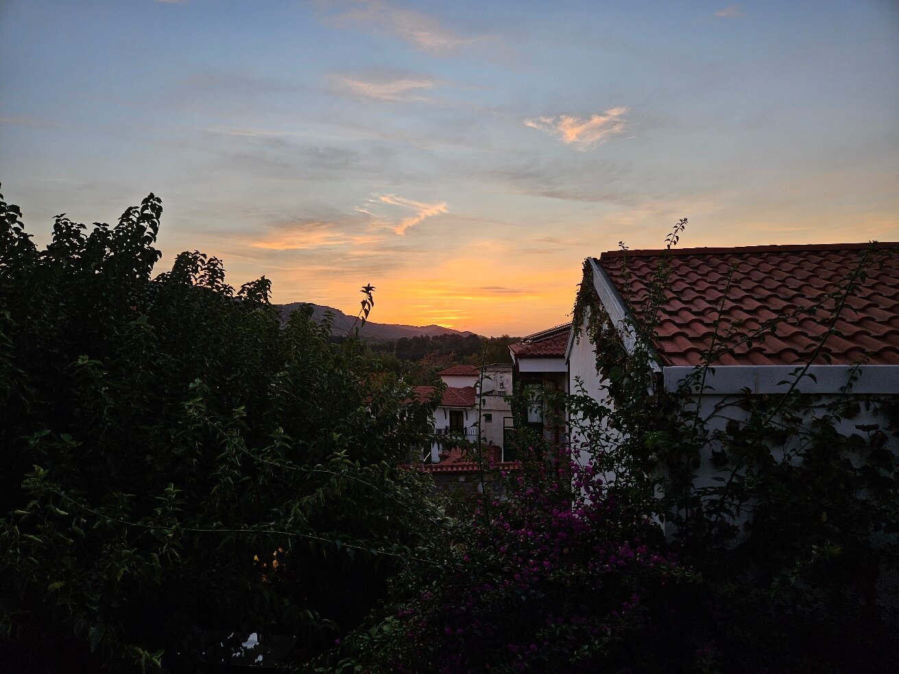 Hotel Nilya-官方