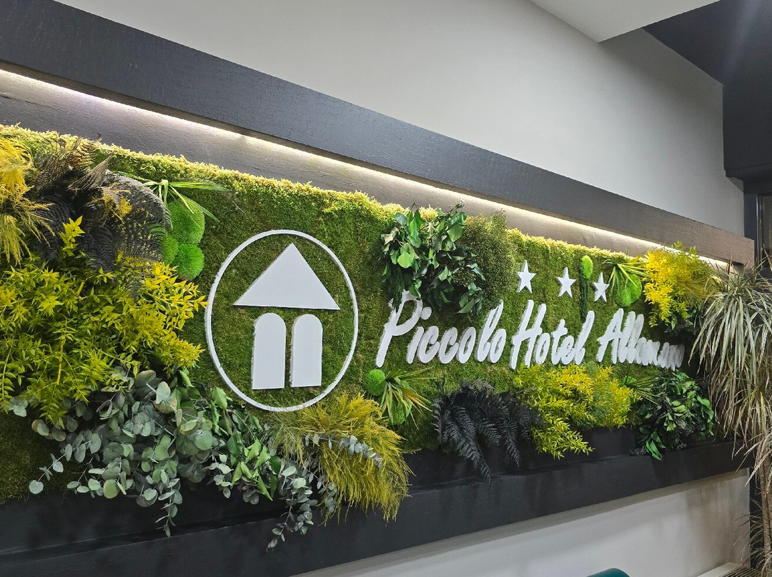 阿拉玛诺皮克洛酒店主图